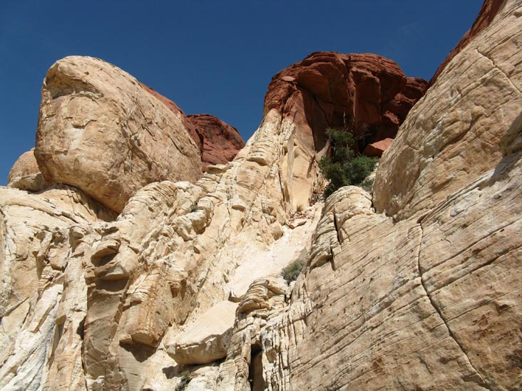 Calico Hills, Red Rock Canyon National Conservation Area, Las Vegas, Nevada