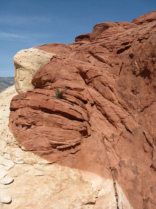 Calico Hills, Red Rock Canyon National Conservation Area, Las Vegas, Nevada