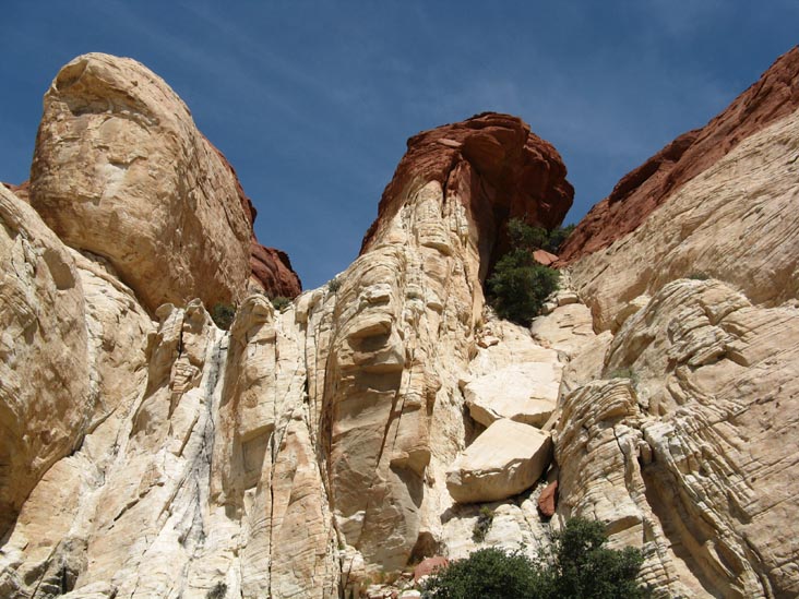 Calico Hills, Red Rock Canyon National Conservation Area, Las Vegas, Nevada