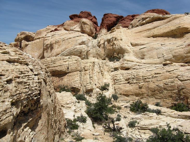 Calico Hills, Red Rock Canyon National Conservation Area, Las Vegas, Nevada