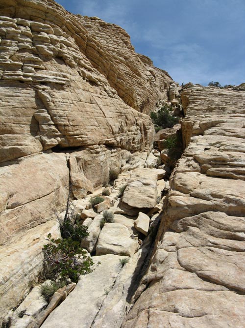Calico Hills, Red Rock Canyon National Conservation Area, Las Vegas, Nevada