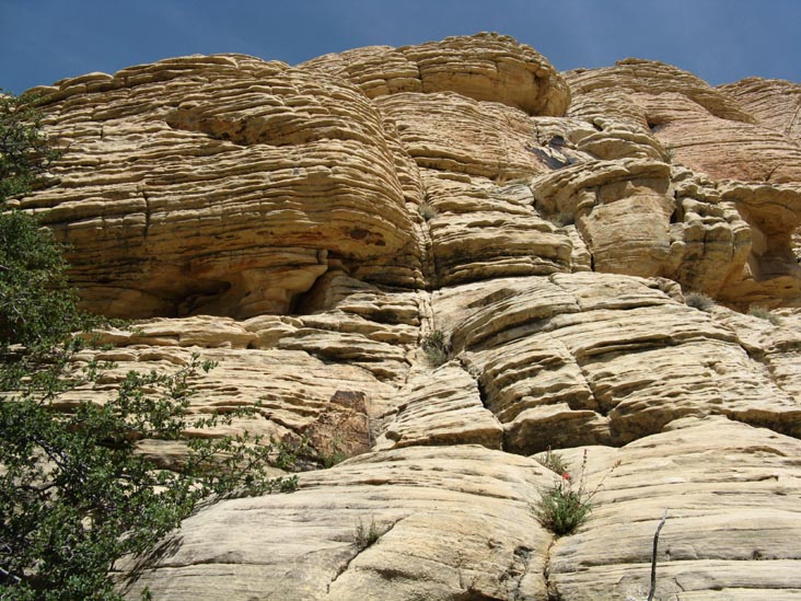Calico Hills, Red Rock Canyon National Conservation Area, Las Vegas, Nevada