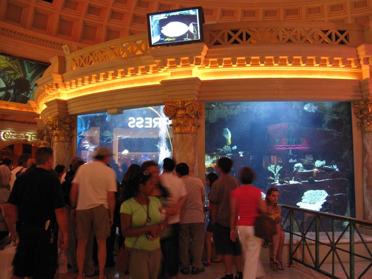Aquarium, Forum Shops, Caesars Palace, 3570 Las Vegas Boulevard South, Las Vegas, Nevada