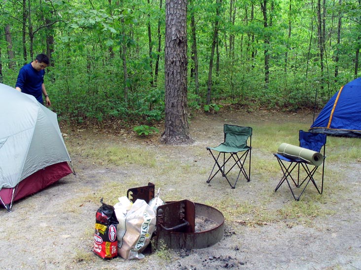 Atsion Campground, Wharton State Forest, Pine Barrens, New Jersey