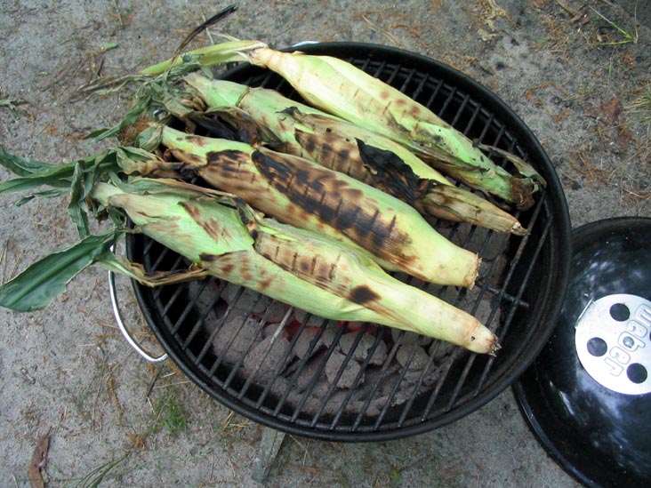 Corn, Atsion Campground, Wharton State Forest, Pine Barrens, New Jersey