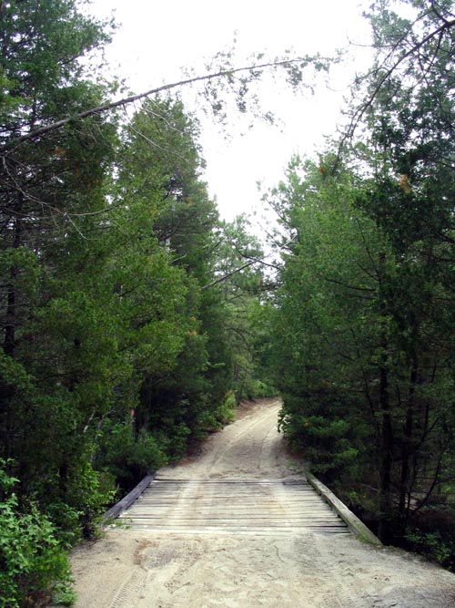 Batona Trail, Wharton State Forest, Pine Barrens, New Jersey, May 27, 2007