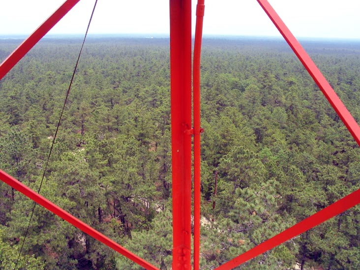 View From Fire Tower, Apple Pie Hill, Batona Trail, Wharton State Forest, Pine Barrens, New Jersey