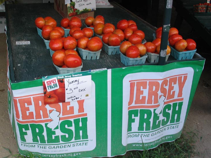 Tomatoes, Route 206 Farm Market & Nursery, 196 Route 206, Hammonton, , New Jersey, August 6, 2006