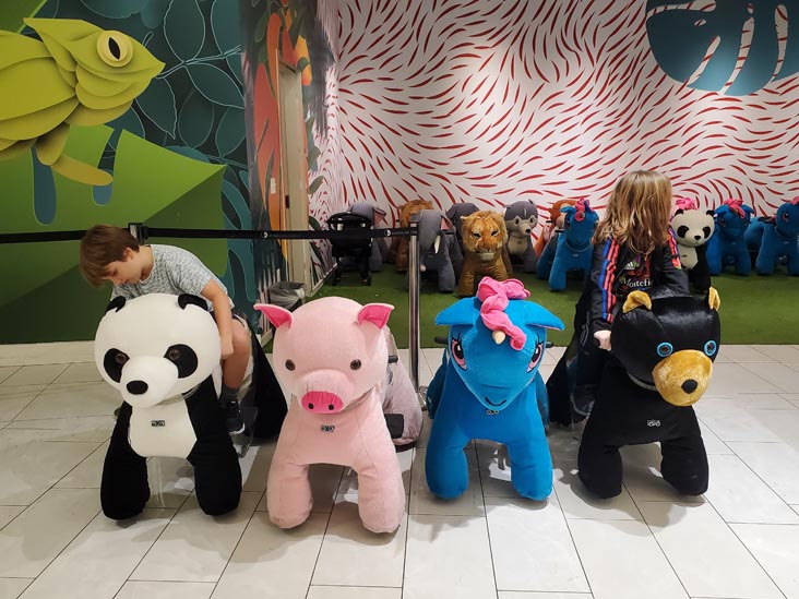 American Dream, East Rutherford, New Jersey, October 5, 2022