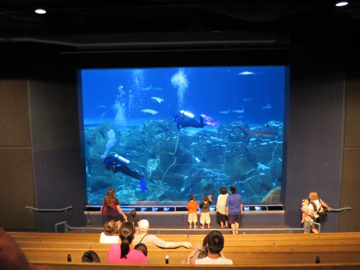 Adventure Aquarium, 1 Riverside Drive, Camden, New Jersey - 1507 03 14