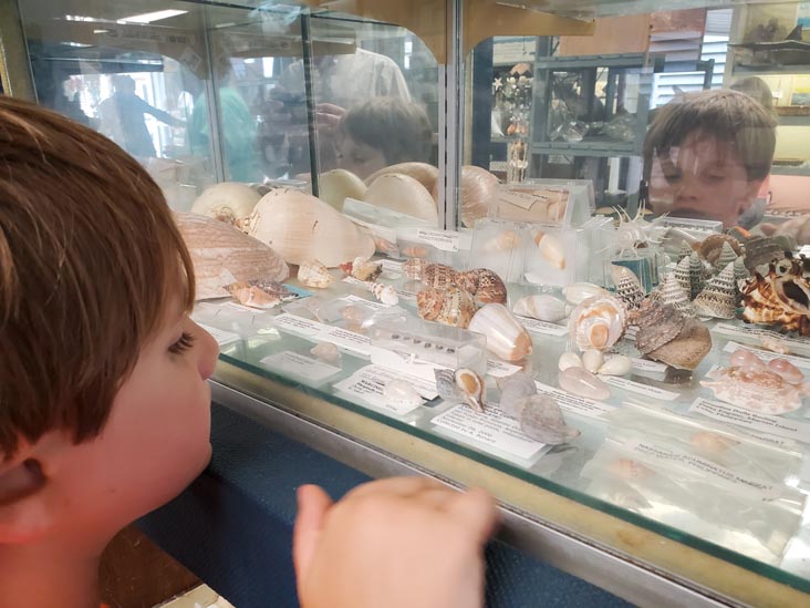 Discovery Seashell Museum, Ocean City, New Jersey, July 2, 2021