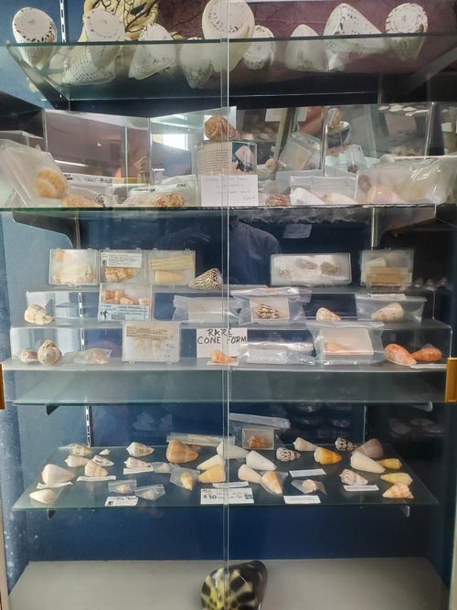 Discovery Seashell Museum, Ocean City, New Jersey, July 2, 2021