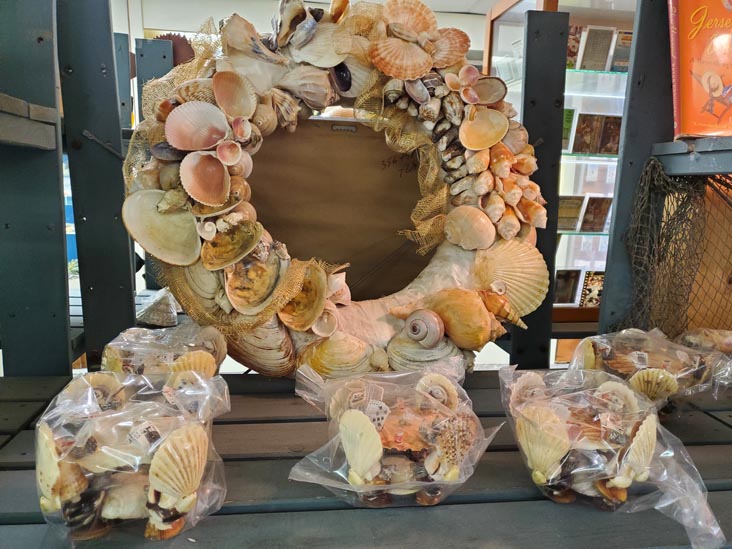 Discovery Seashell Museum, Ocean City, New Jersey, July 2, 2021