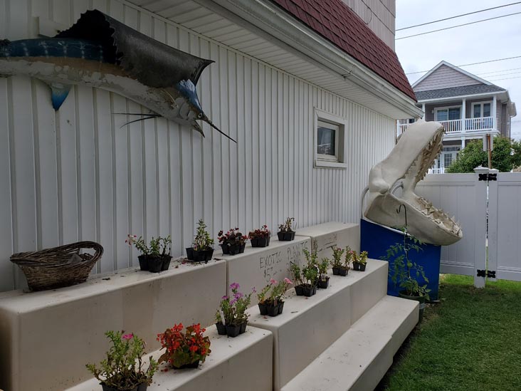 Discovery Seashell Museum, Ocean City, New Jersey, July 2, 2021