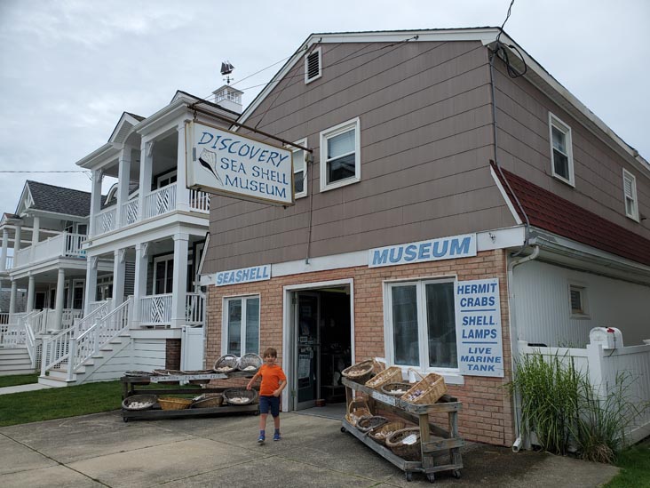 Discovery Seashell Museum, 2721 Asbury Avenue, Ocean City, New Jersey, July 2, 2021