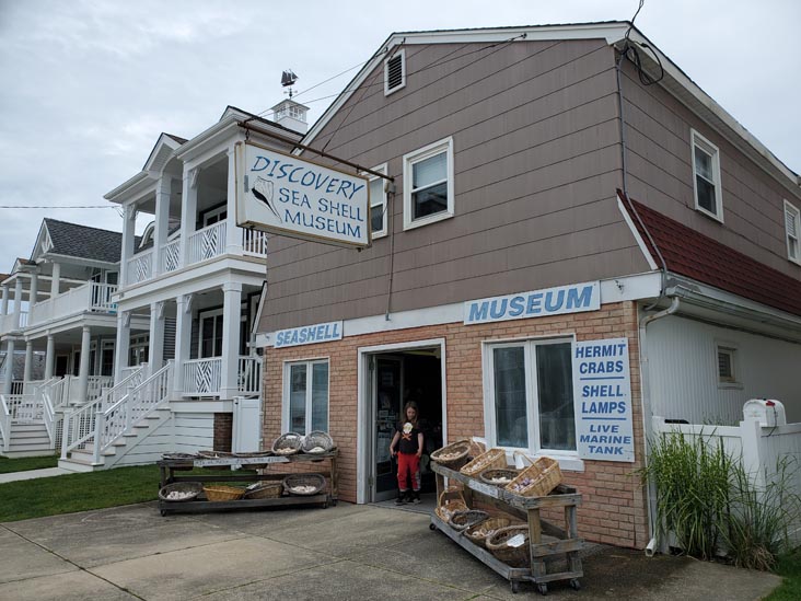 Discovery Seashell Museum, 2721 Asbury Avenue, Ocean City, New Jersey, July 2, 2021