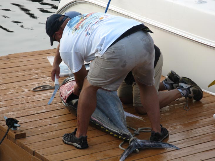 Filleting Tuna, Pine Road, Ocean City, New Jersey, July 25, 2009