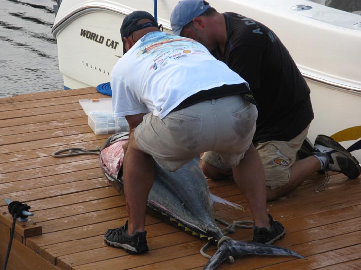 Filleting Tuna, Pine Road, Ocean City, New Jersey, July 25, 2009