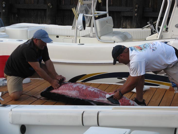 Filleting Tuna, Pine Road, Ocean City, New Jersey, July 25, 2009