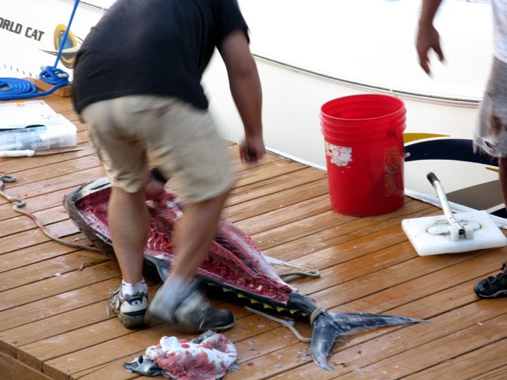 Filleting Tuna, Pine Road, Ocean City, New Jersey, July 25, 2009