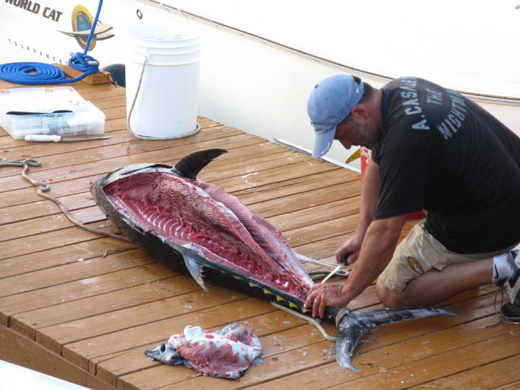 Filleting Tuna, Pine Road, Ocean City, New Jersey, July 25, 2009