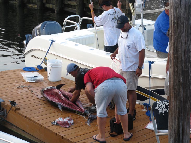 Filleting Tuna, Pine Road, Ocean City, New Jersey, July 25, 2009