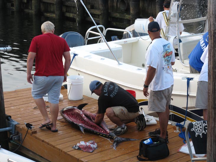 Filleting Tuna, Pine Road, Ocean City, New Jersey, July 25, 2009