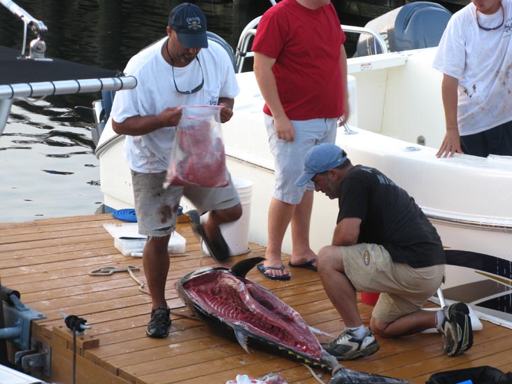 Filleting Tuna, Pine Road, Ocean City, New Jersey, July 25, 2009
