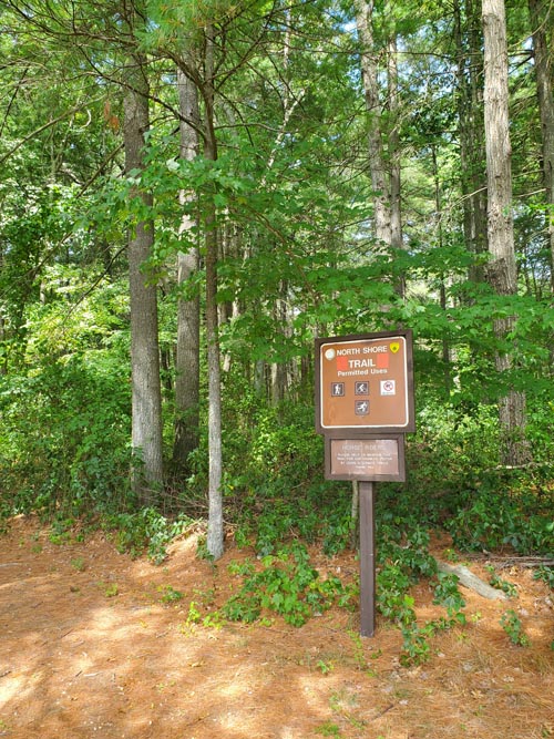 North Shore Trail, Belleplain State Forest, Cape May County, New Jersey, August 14, 2022