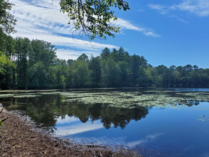 Lake Nummy, Belleplain State Forest, Cape May County, New Jersey, August 14, 2022