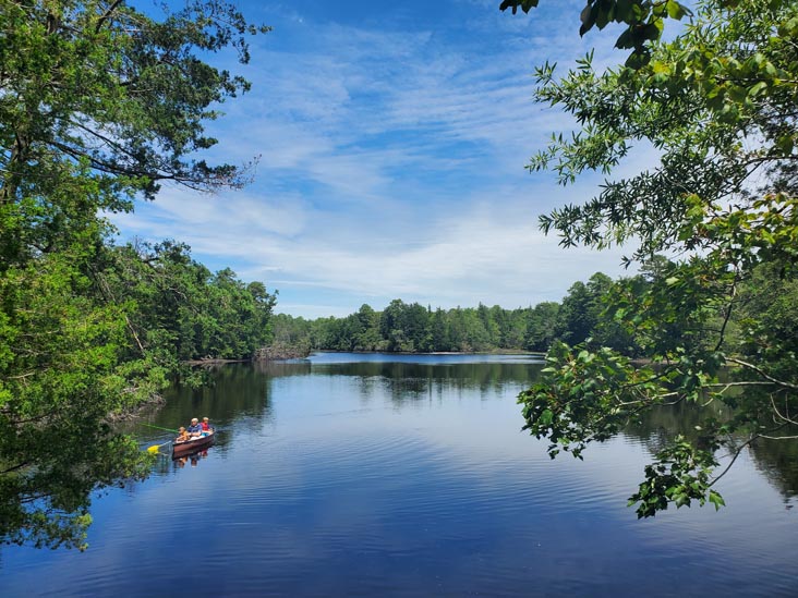 Lake Nummy, Belleplain State Forest, Cape May County, New Jersey, August 14, 2022