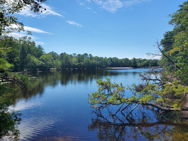 Lake Nummy, Belleplain State Forest, Cape May County, New Jersey, August 14, 2022