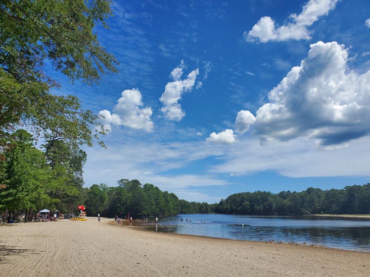 Lake Nummy, Belleplain State Forest, Cape May County, New Jersey, August 14, 2022