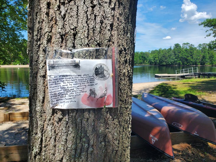 Lake Nummy, Meisle Trail, Belleplain State Forest, Cape May County, New Jersey, August 14, 2022