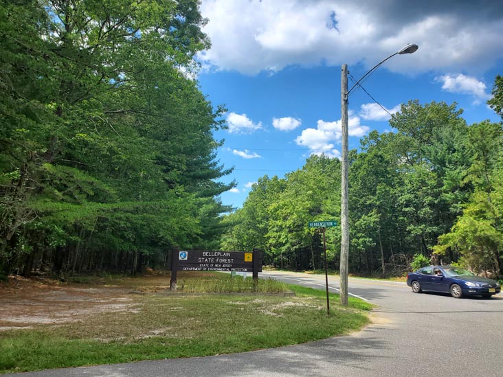 Belleplain State Forest, 1 Henkinsifkin Road, Cape May County, New Jersey, August 14, 2022