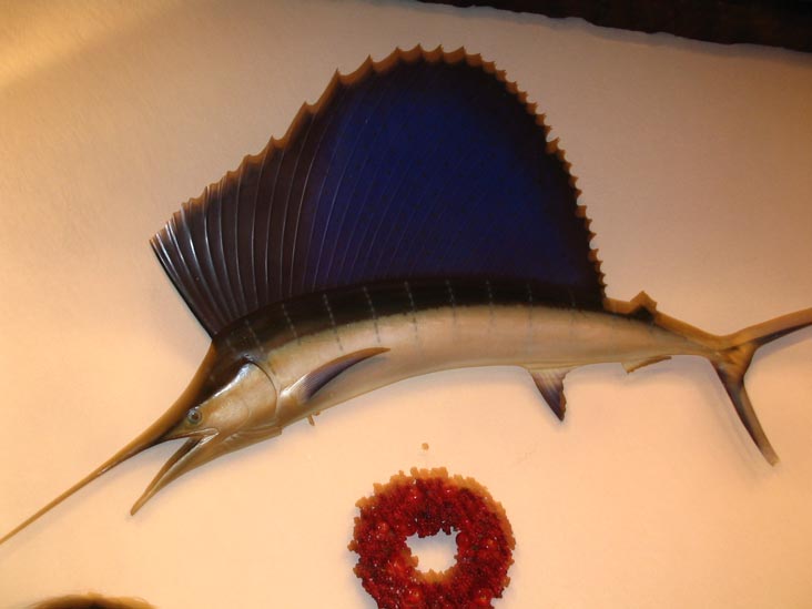 Swordfish on Wall, Iberia Tavern & Restaurant, 80-84 Ferry Street, Newark, New Jersey, December 3, 2004