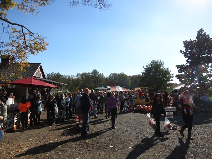 Terhune Orchards, 330 Cold Soil Road, Princeton Junction, New Jersey, October 20, 2013
