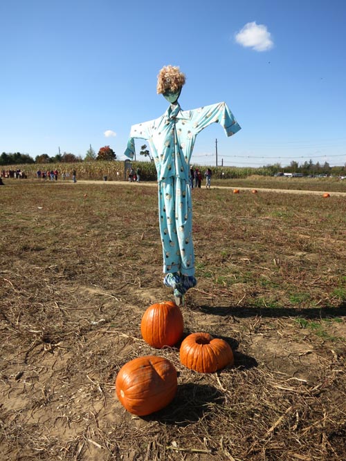 Scarecrow, Pumpkin Patch, Terhune Orchards, 330 Cold Soil Road, Princeton Junction, New Jersey, October 20, 2013