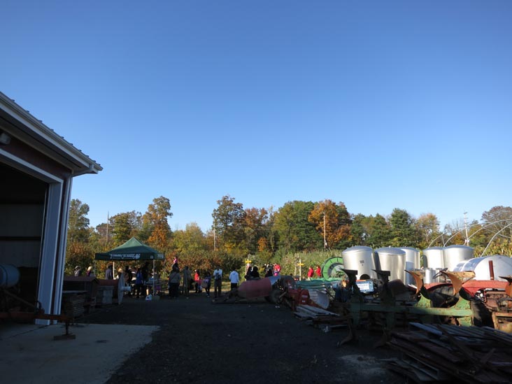 Terhune Orchards, 330 Cold Soil Road, Princeton Junction, New Jersey, October 20, 2013