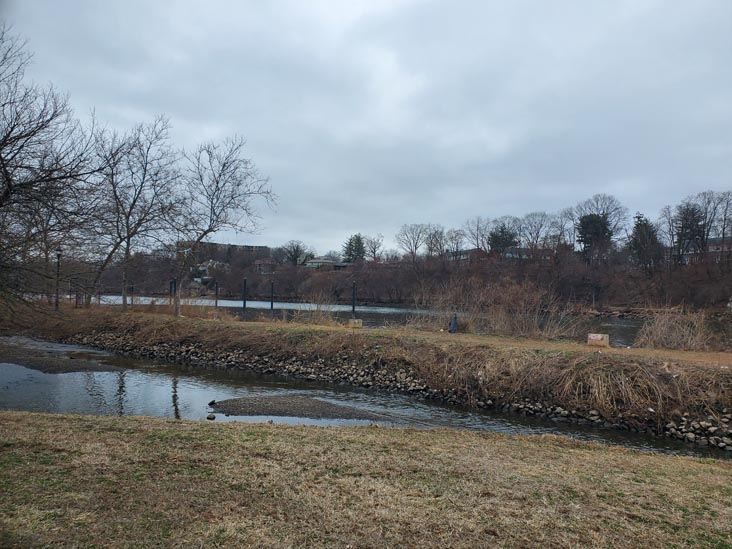 Boyd Park, New Brunswick, New Jersey, March 15, 2025