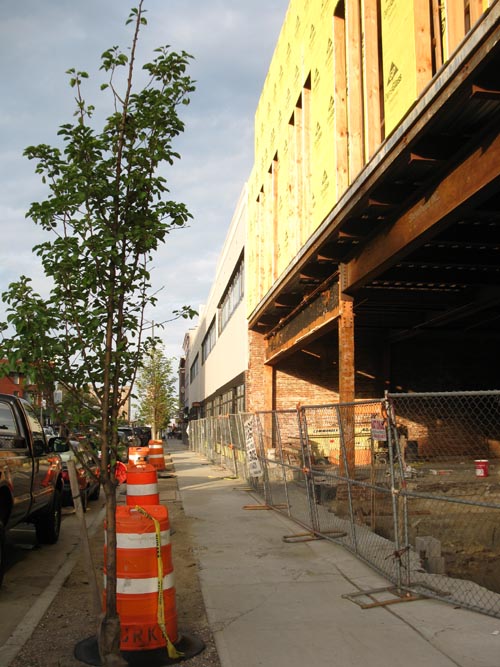 Cookman Avenue, Asbury Park, New Jersey, September 5, 2011