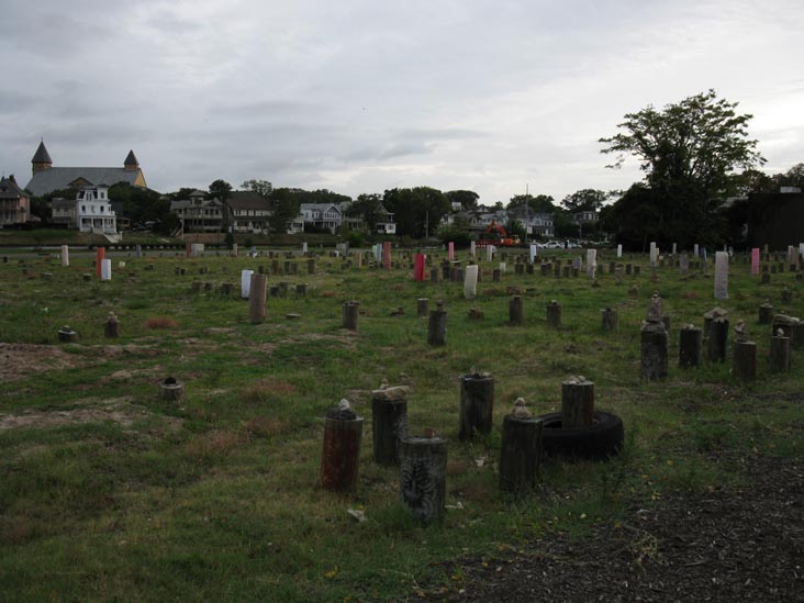 Piling Field/Tree Farm, Cookman Avenue, Lake Avenue, Heck Street and Grand Avenue, Asbury Park, New Jersey, September 3, 2010