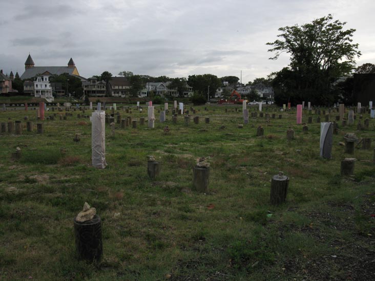 Piling Field/Tree Farm, Cookman Avenue, Lake Avenue, Heck Street and Grand Avenue, Asbury Park, New Jersey, September 3, 2010