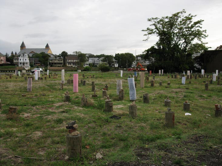 Piling Field/Tree Farm, Cookman Avenue, Lake Avenue, Heck Street and Grand Avenue, Asbury Park, New Jersey, September 3, 2010