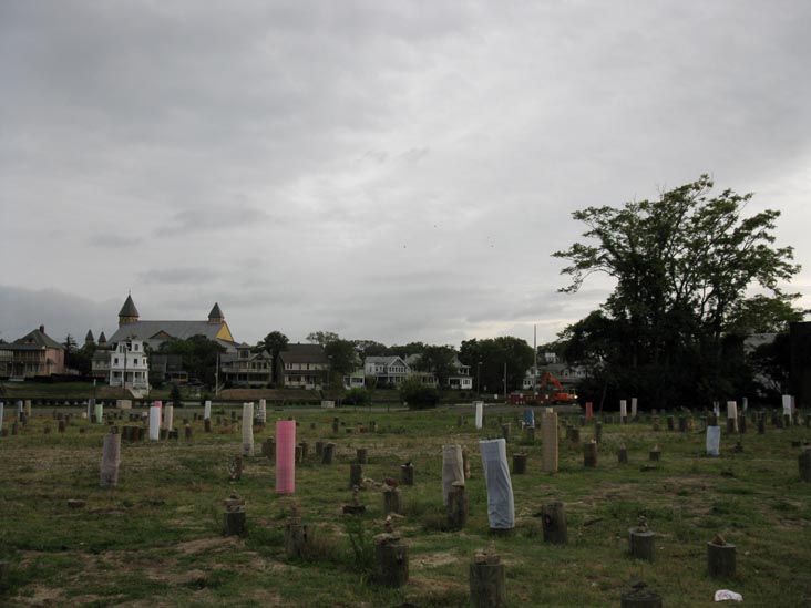 Piling Field/Tree Farm, Cookman Avenue, Lake Avenue, Heck Street and Grand Avenue, Asbury Park, New Jersey, September 3, 2010