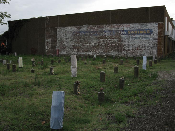 Piling Field/Tree Farm, Cookman Avenue, Lake Avenue, Heck Street and Grand Avenue, Asbury Park, New Jersey, September 3, 2010