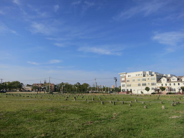 Piling Field/Tree Farm, Cookman Avenue, Lake Avenue, Heck Street and Grand Avenue, Asbury Park, New Jersey, August 24, 2012
