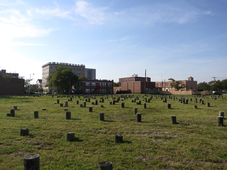 Piling Field/Tree Farm, Cookman Avenue, Lake Avenue, Heck Street and Grand Avenue, Asbury Park, New Jersey, August 24, 2012