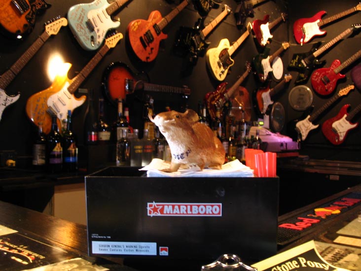 The Stone Pony, 913 Ocean Avenue, Asbury Park, New Jersey, September 3, 2006