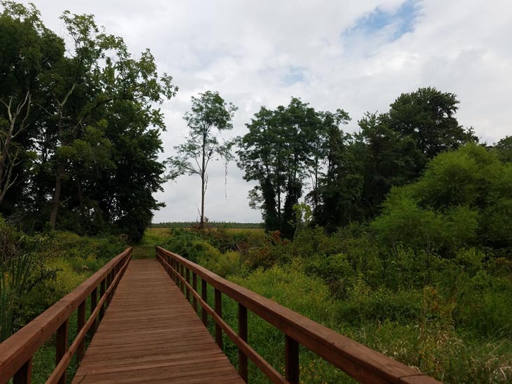 Monmouth Battlefield State Park, Monmouth County, New Jersey, September 1, 2016